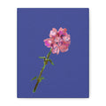 Pink Floral Stem Canvas Print Wall Art — Matte Stretched 1.25"